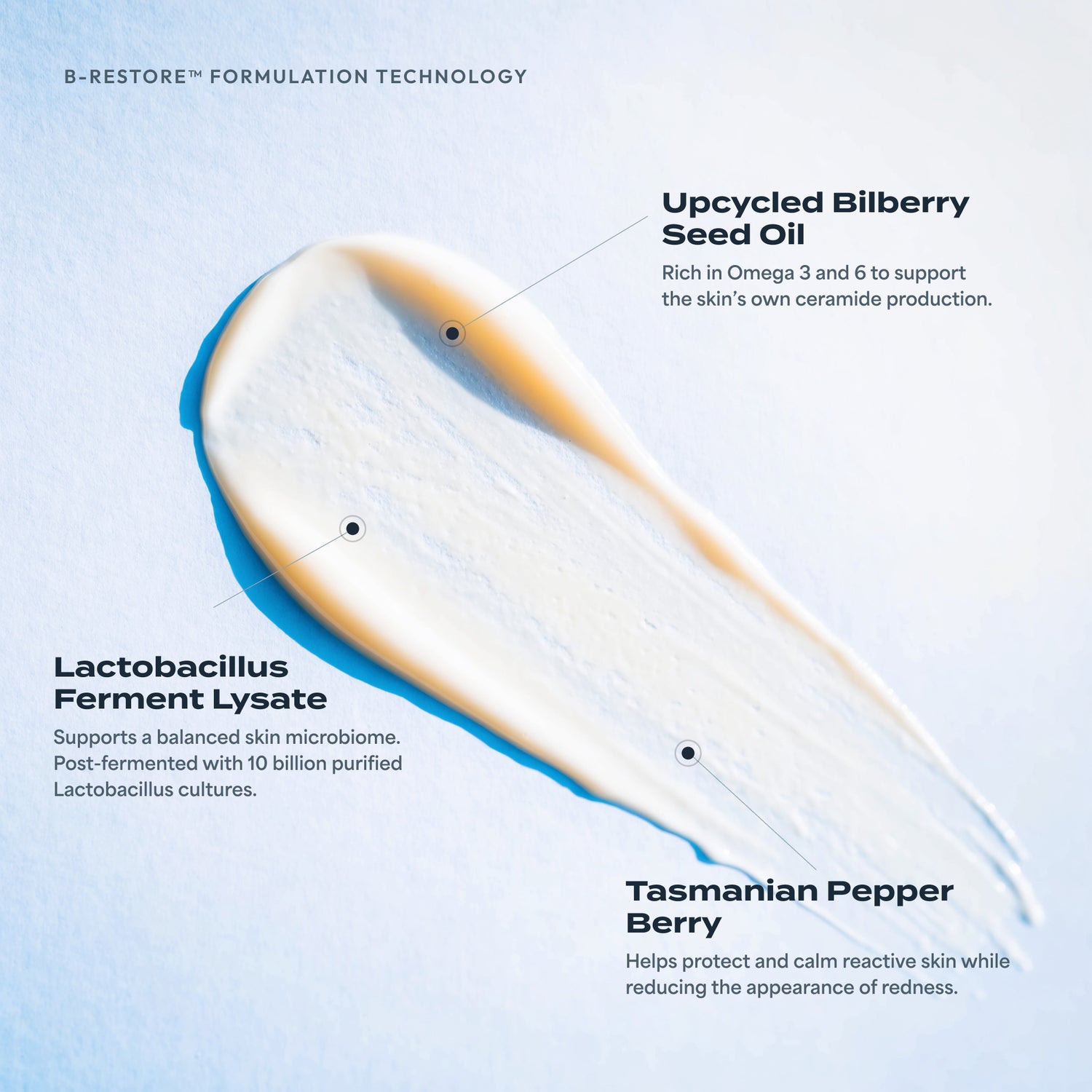 B-Restore formulation technology: a cream swatch labelled with upcycled bilberry seed oil, Lactobacillus ferment lysate and Tasmanian pepper berry.