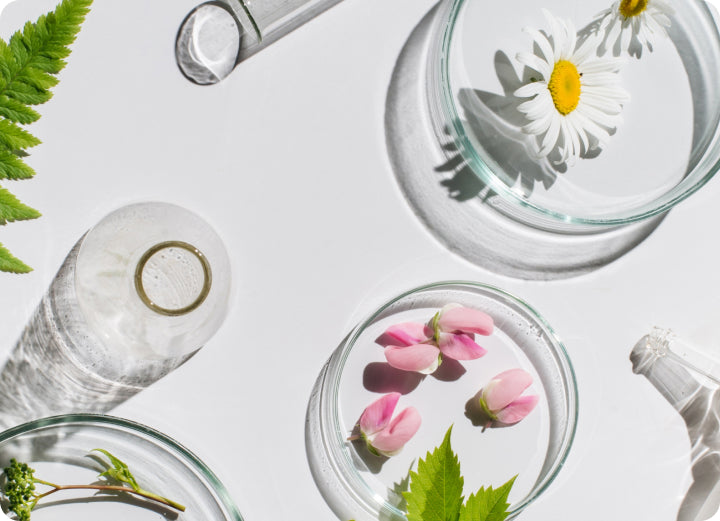 Skincare that cuts above the noise.